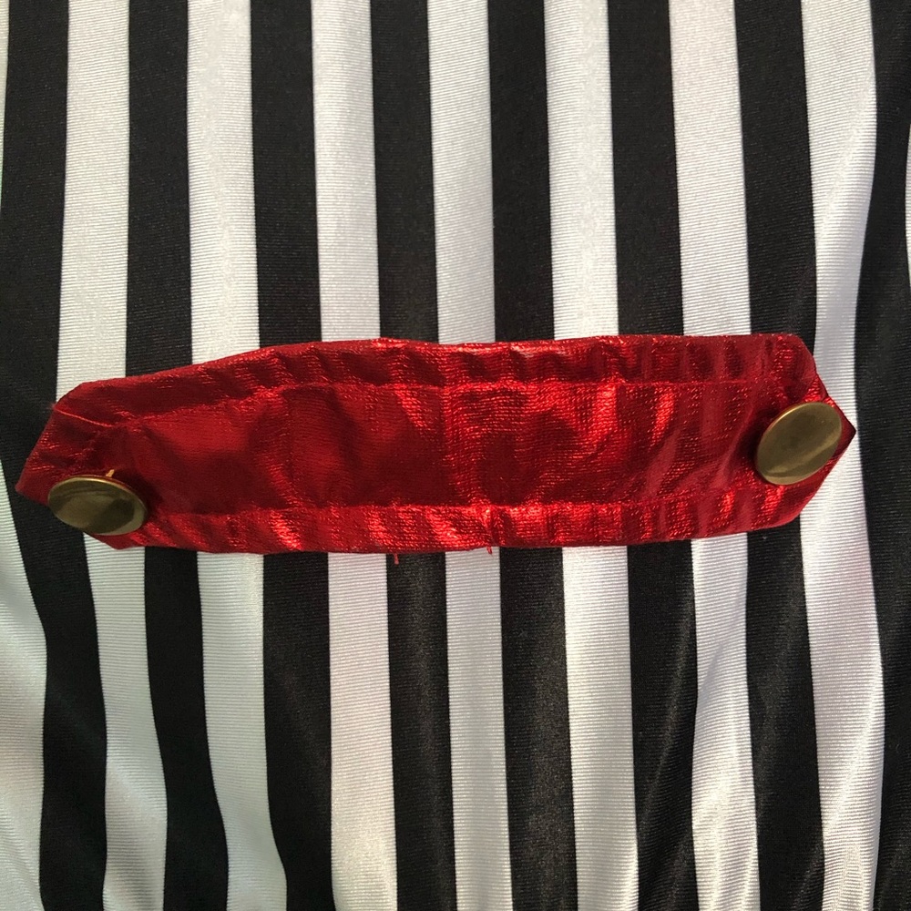 Mr. LOYAL JACKET COSTUME. - Picture 5 of 6
